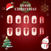 Snowflake Christmas Nail Art