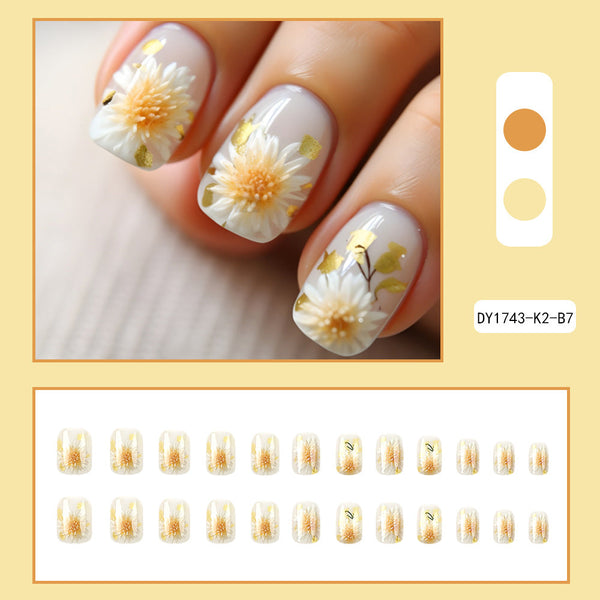 Press On Nails DY1743-K2-B7